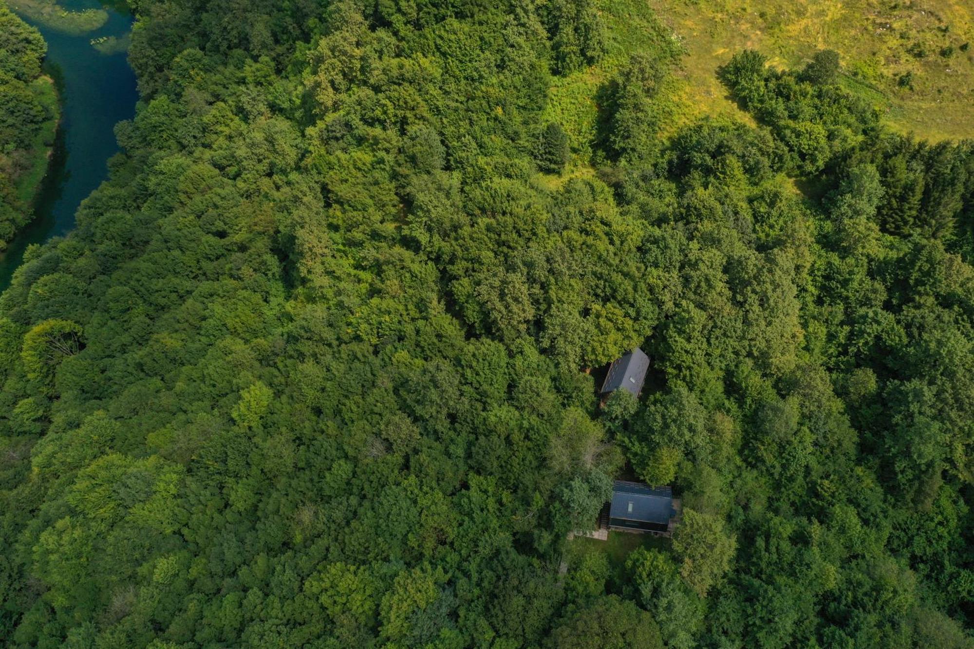 Tree Elements Treehouse Retreat Lägenhet Slunj Exteriör bild