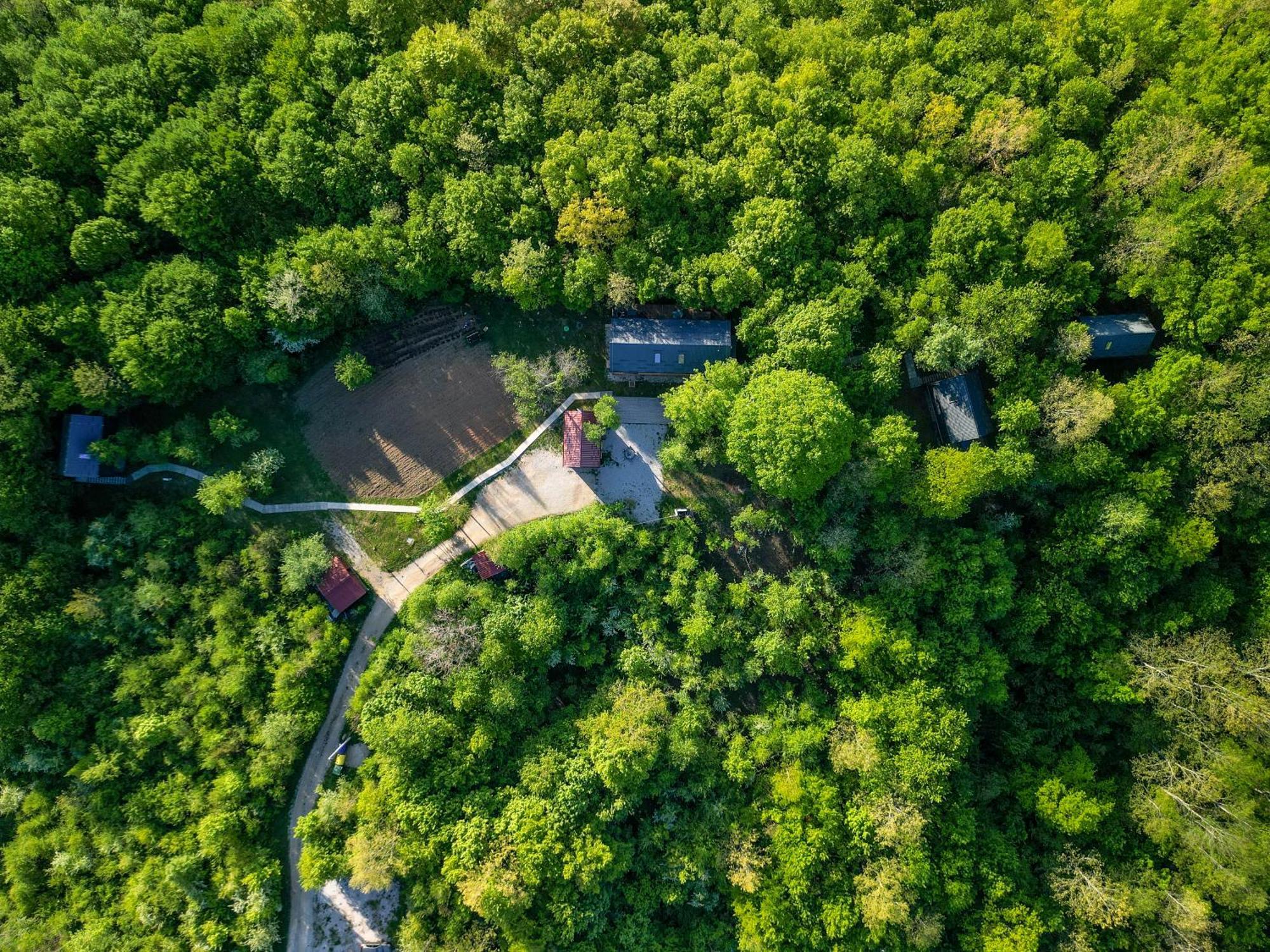 Tree Elements Treehouse Retreat Lägenhet Slunj Exteriör bild